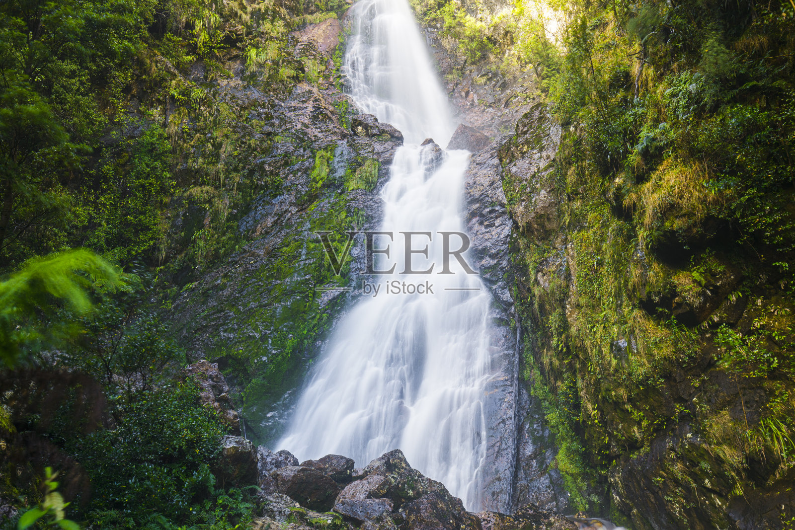 强大的流动瀑布与苔藓和浓密的绿色雨林环境照片摄影图片