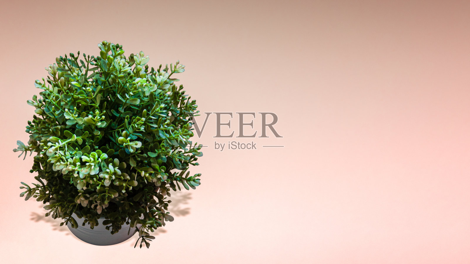 绿色花束放在花盆上,粉红色背景配拷贝空间,情人节快乐,母亲节,花背景,平铺,俯视图照片摄影图片