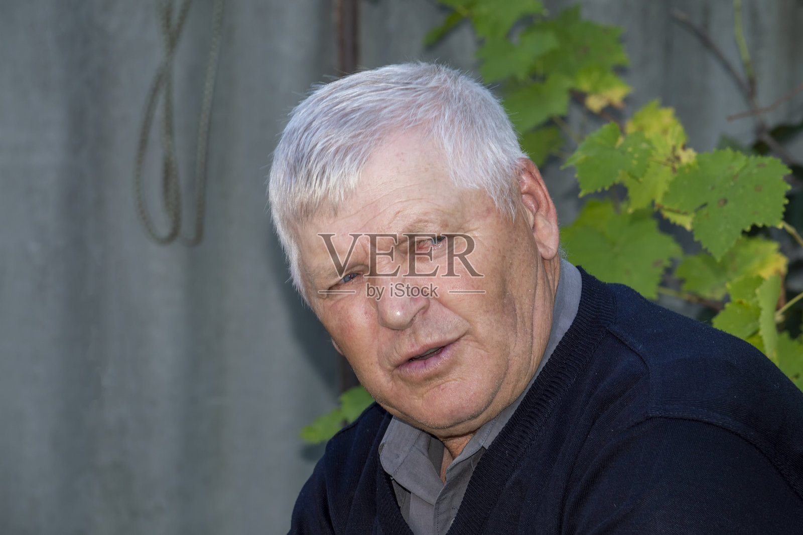 没有看镜头的年长的灰发男人照片摄影图片