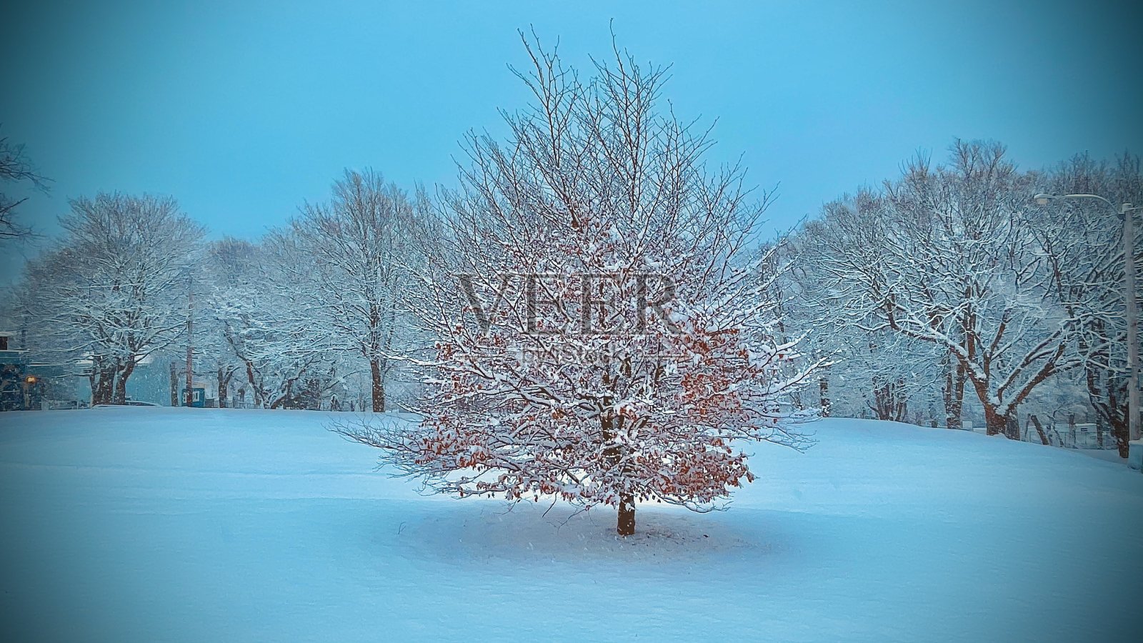 纽芬兰拉布拉多的天空照片摄影图片