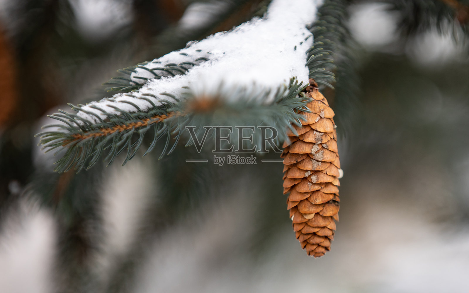 锥照片摄影图片