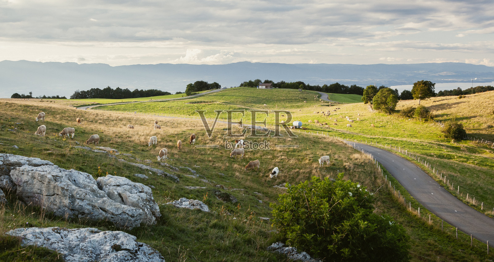 在美丽的一天结束时,在Salève山、日内瓦湖(Léman)和背景中的侏罗山脉上,昏暗的光线。萨瓦省、法国照片摄影图片