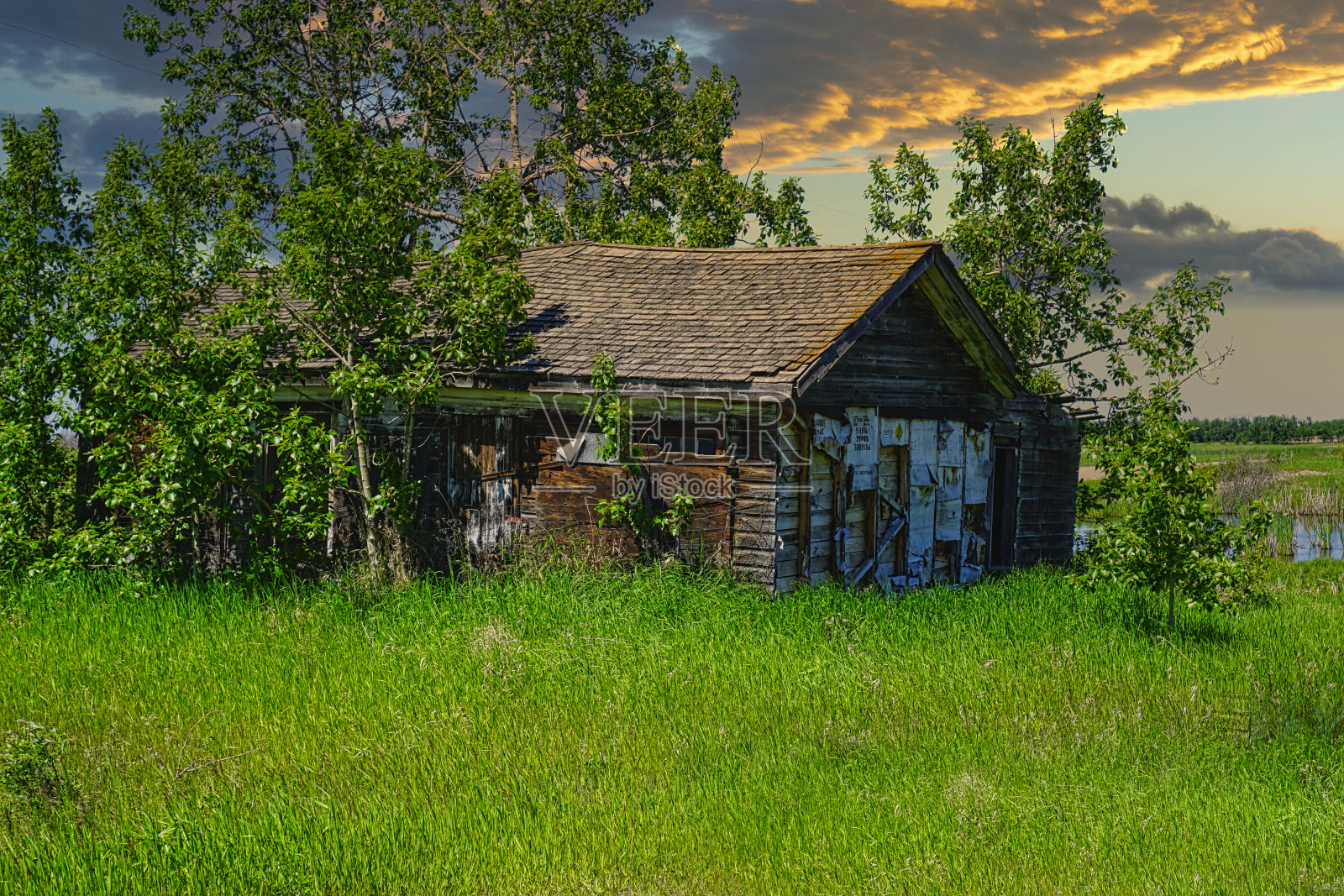 废弃的农场,谷仓,加拿大北阿尔伯塔的家园照片摄影图片