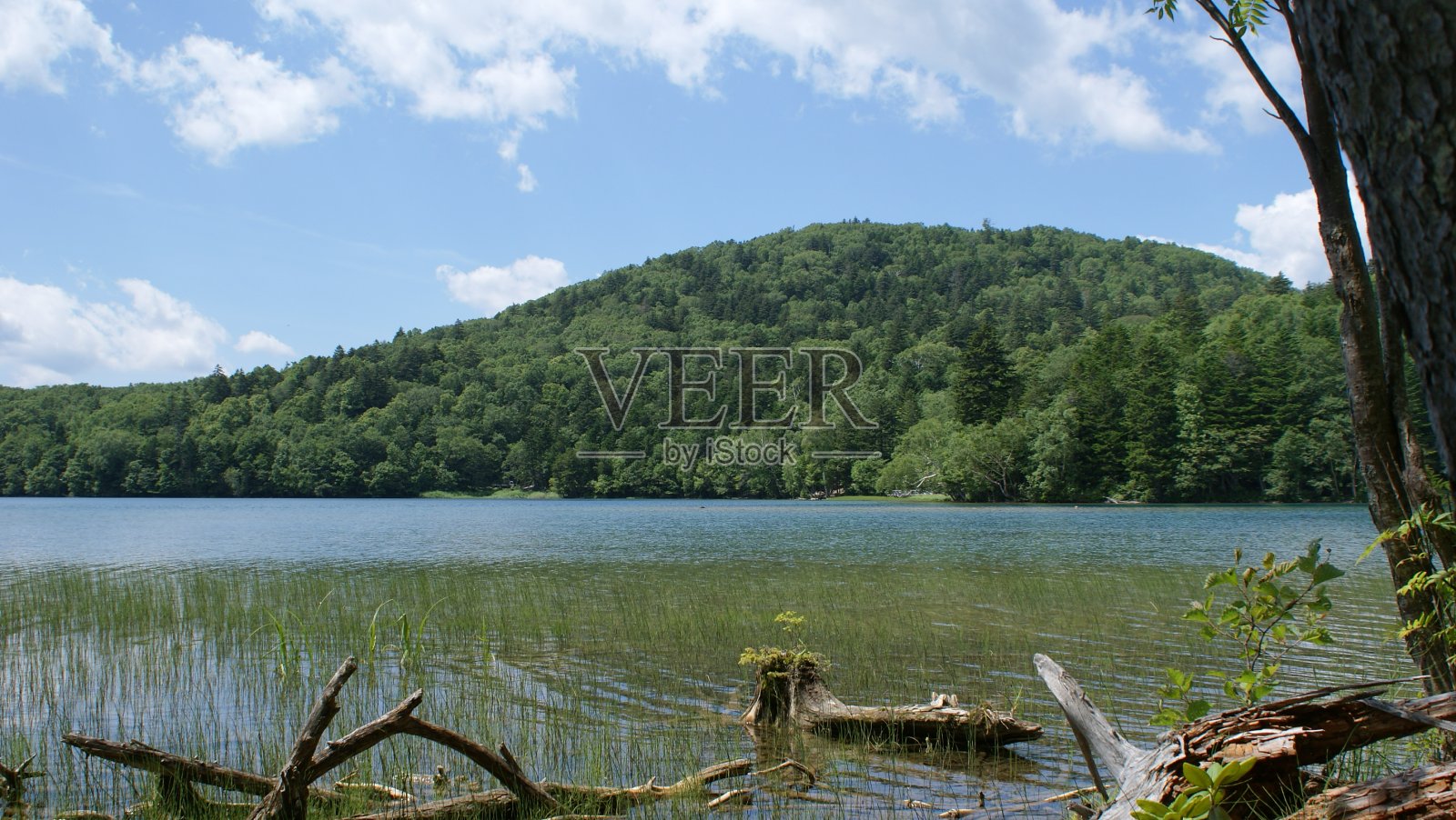 湖照片摄影图片