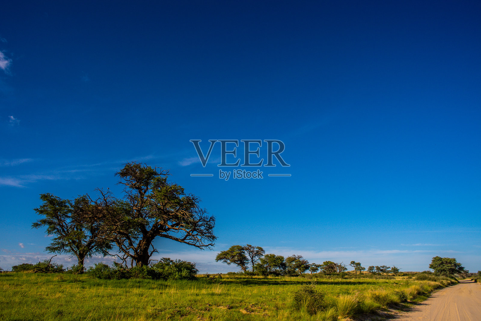 喀拉哈里沙漠的蓝天照片摄影图片