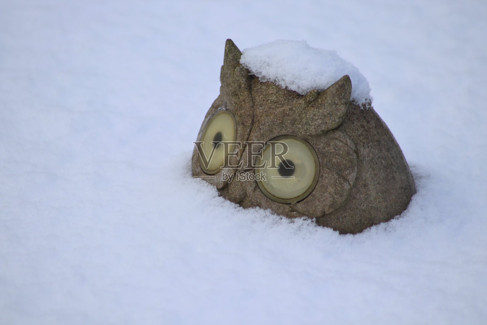 雪花园装饰照片摄影图片