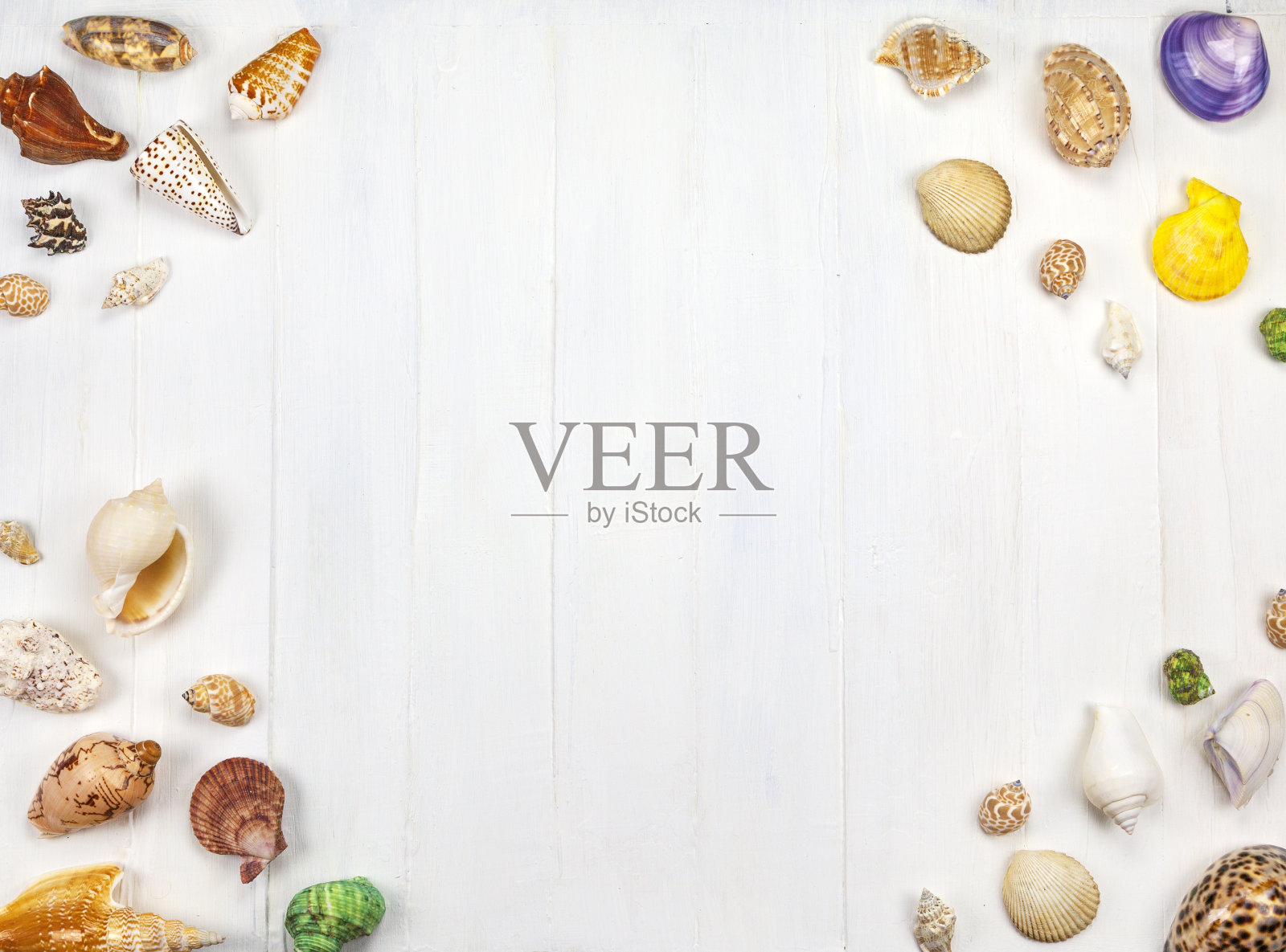 暑假的概念。海贝壳与绳子在白色木制背景,复制空间。照片摄影图片