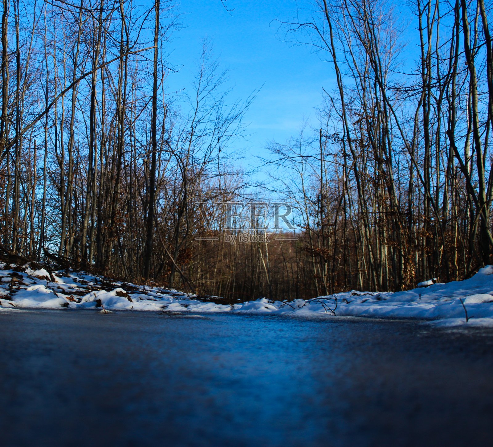 森林里结冰的蓝色水坑。在结冰的水池后面是一片森林。背景是树。冬天。冷。照片摄影图片
