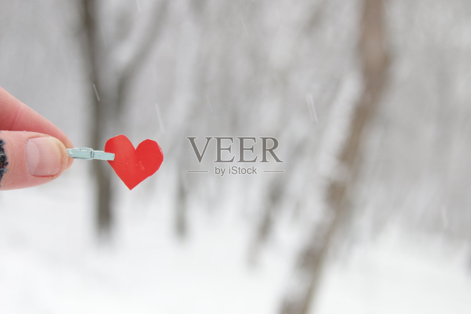 情人节快乐创意概念。照片摄影图片