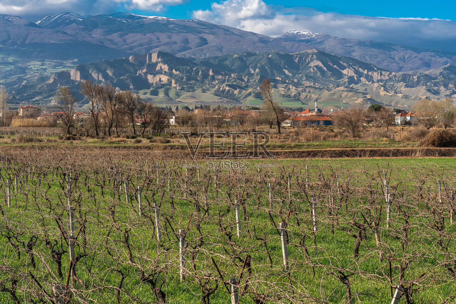 风景优美的葡萄园,位于土耳其西部的葡萄酒种植区照片摄影图片