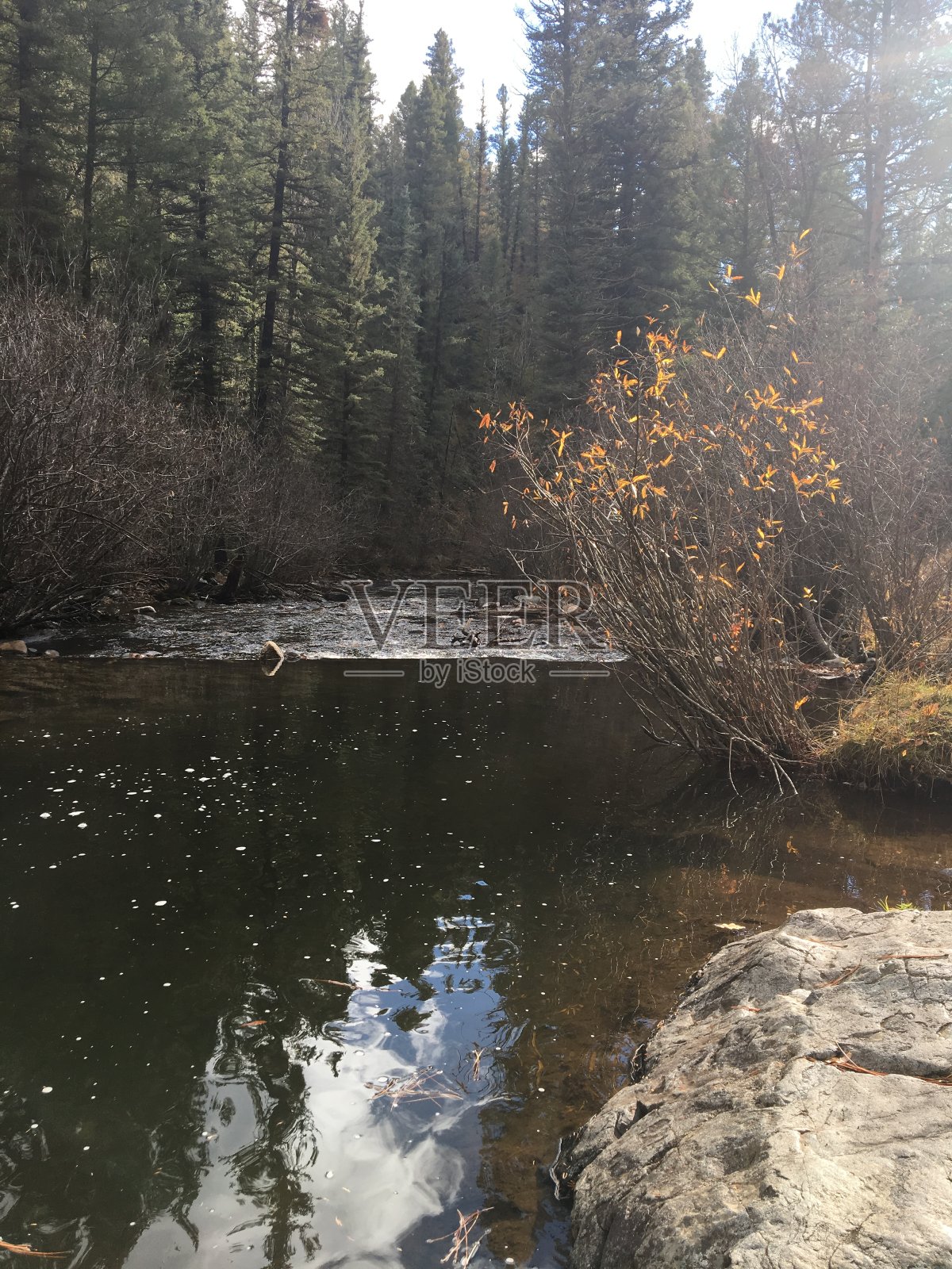 流了照片摄影图片