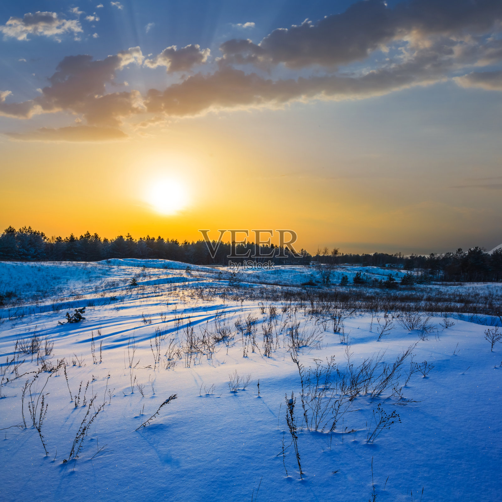 冬日的雪景在夕阳下照片摄影图片