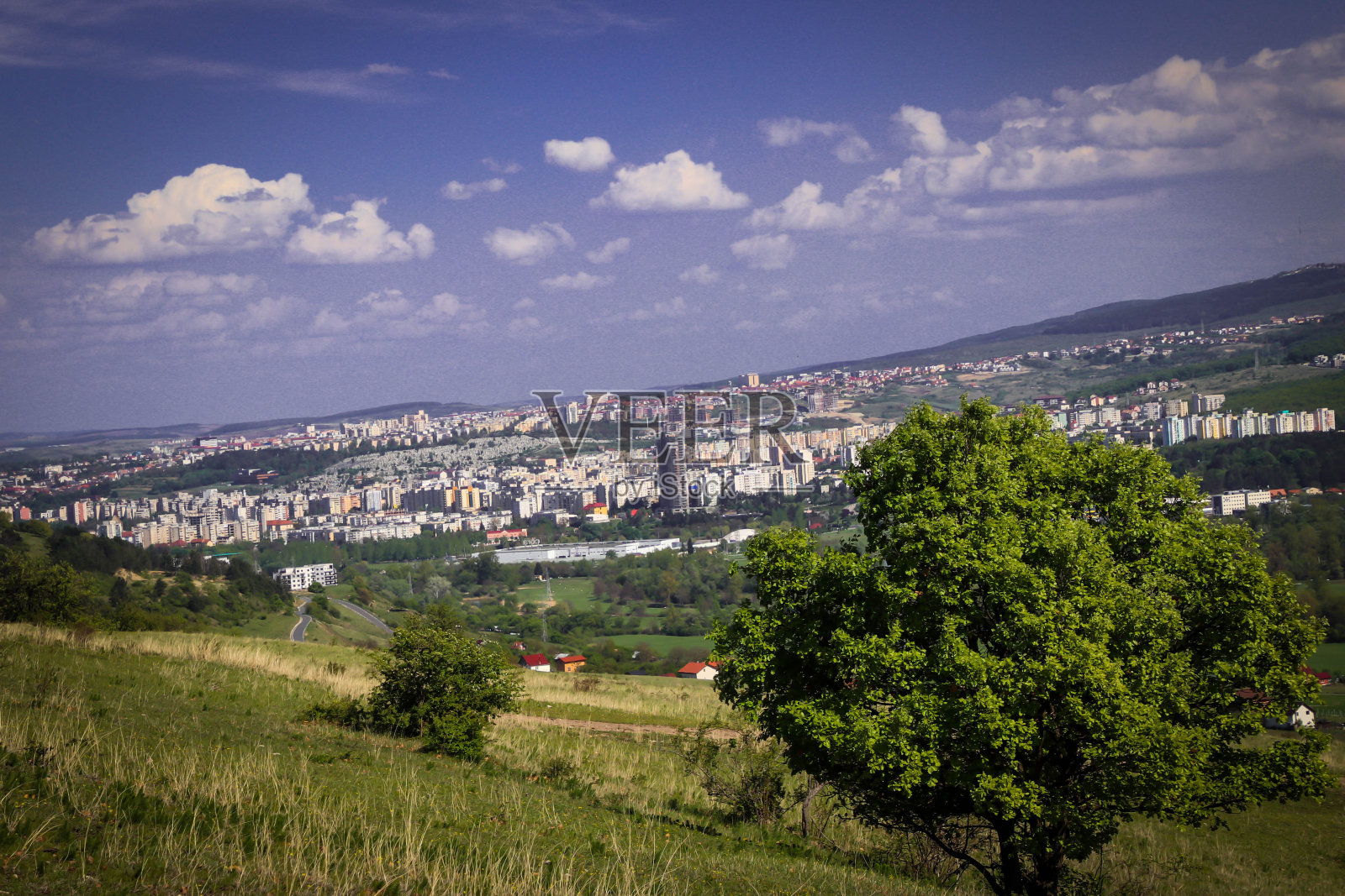 从外面看,绿树成荫,城市景色优美。照片摄影图片