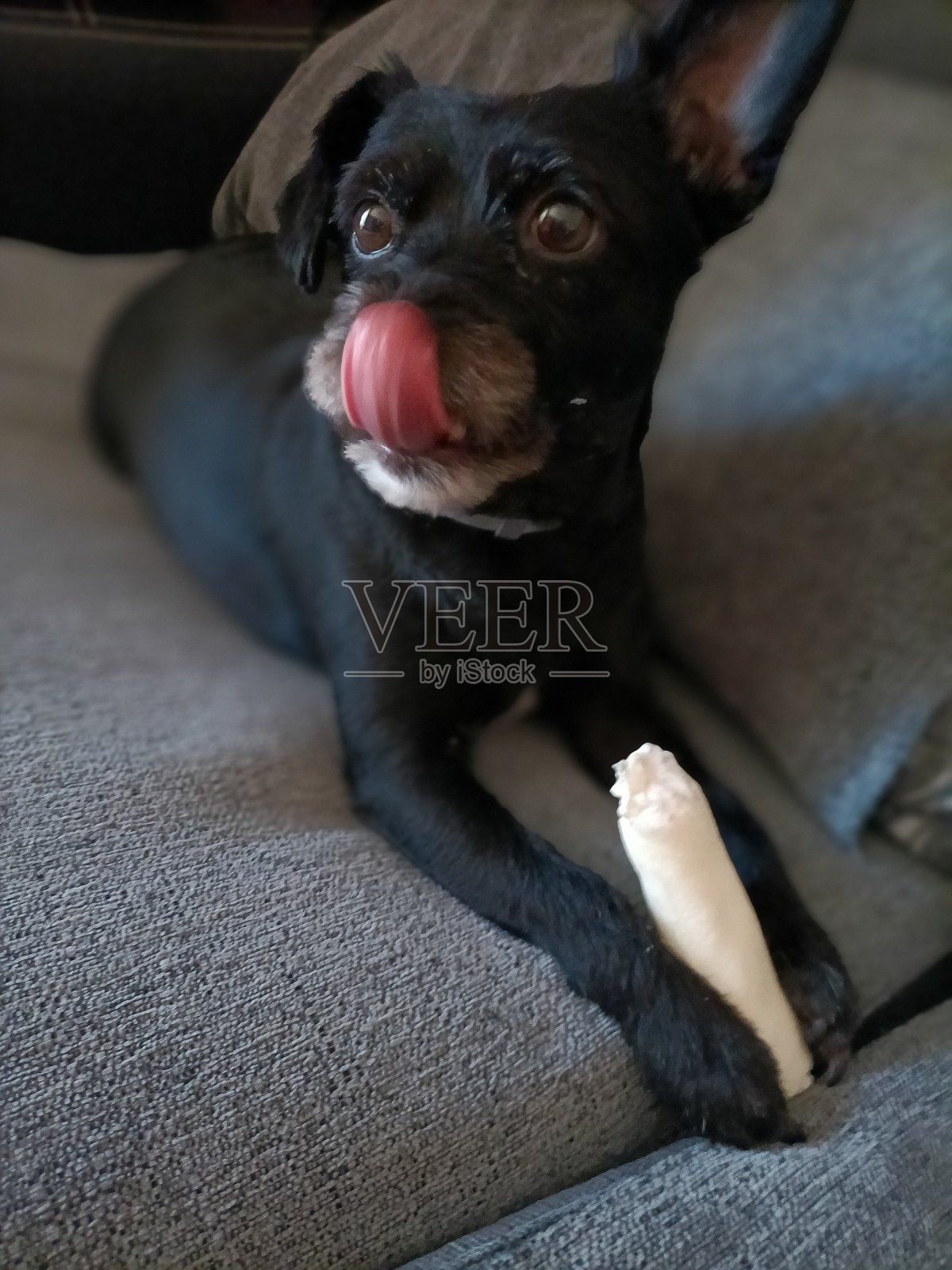 伸出舌头照片摄影图片