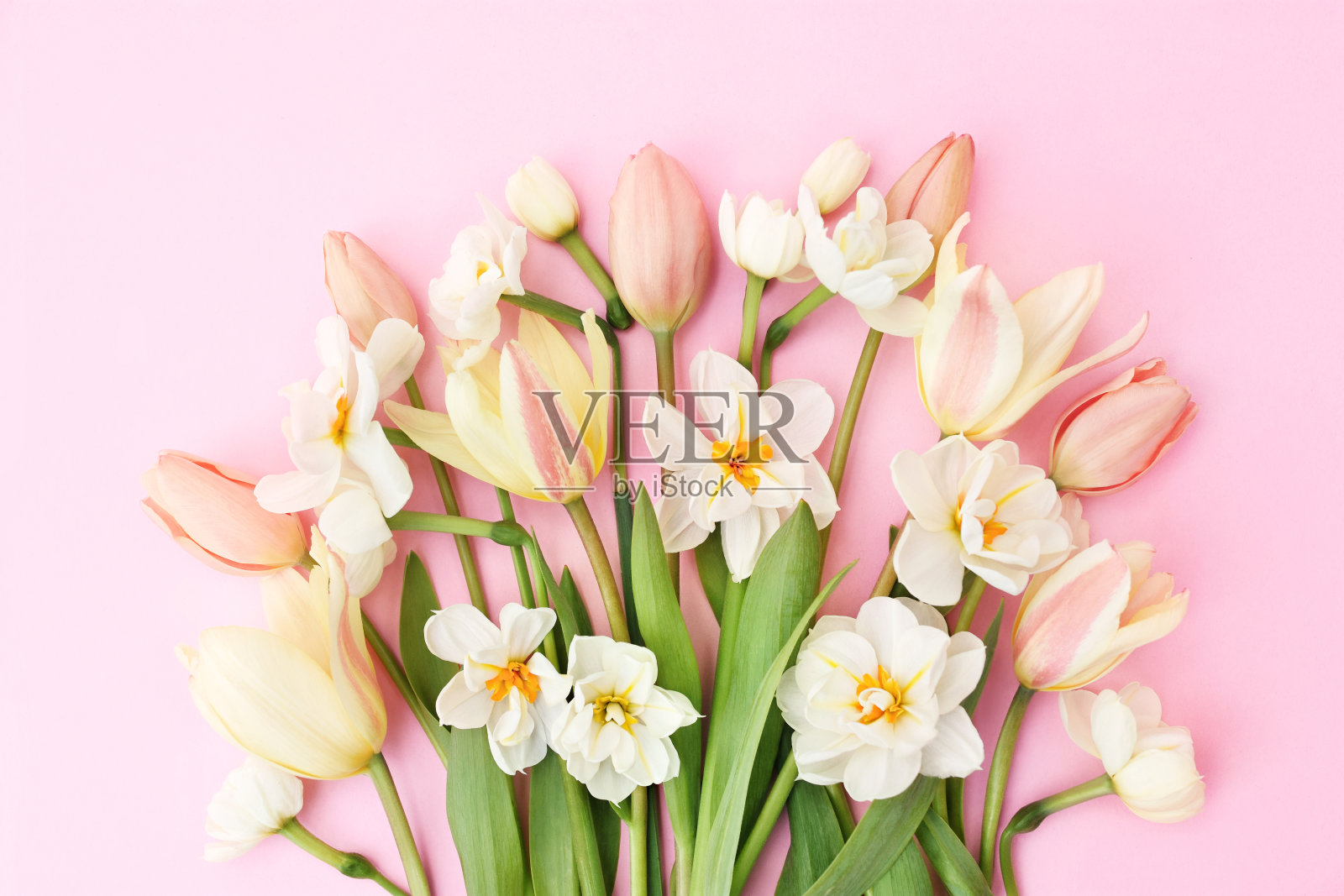 春天盛开的水仙花、郁金香和花束背景明亮照片摄影图片