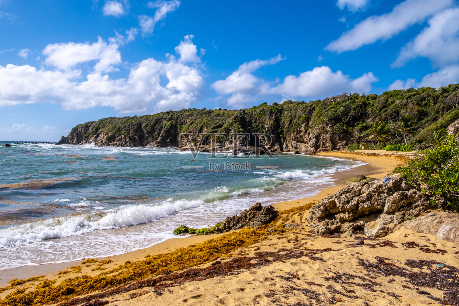 去海滩照片摄影图片