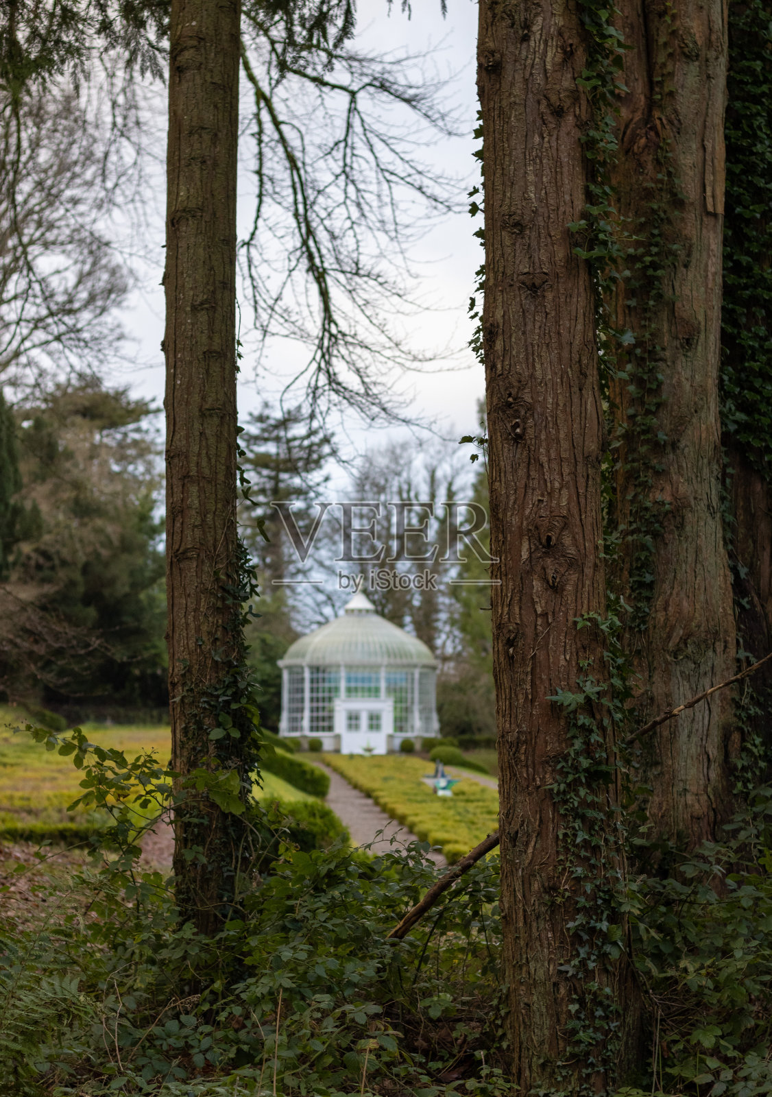 隐藏的花园照片摄影图片