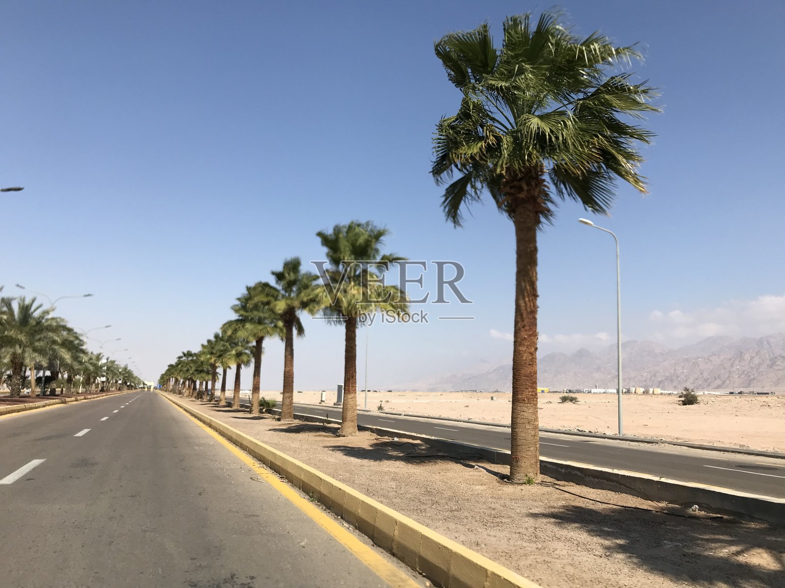 亚喀巴礁石公路旁的棕榈树照片摄影图片