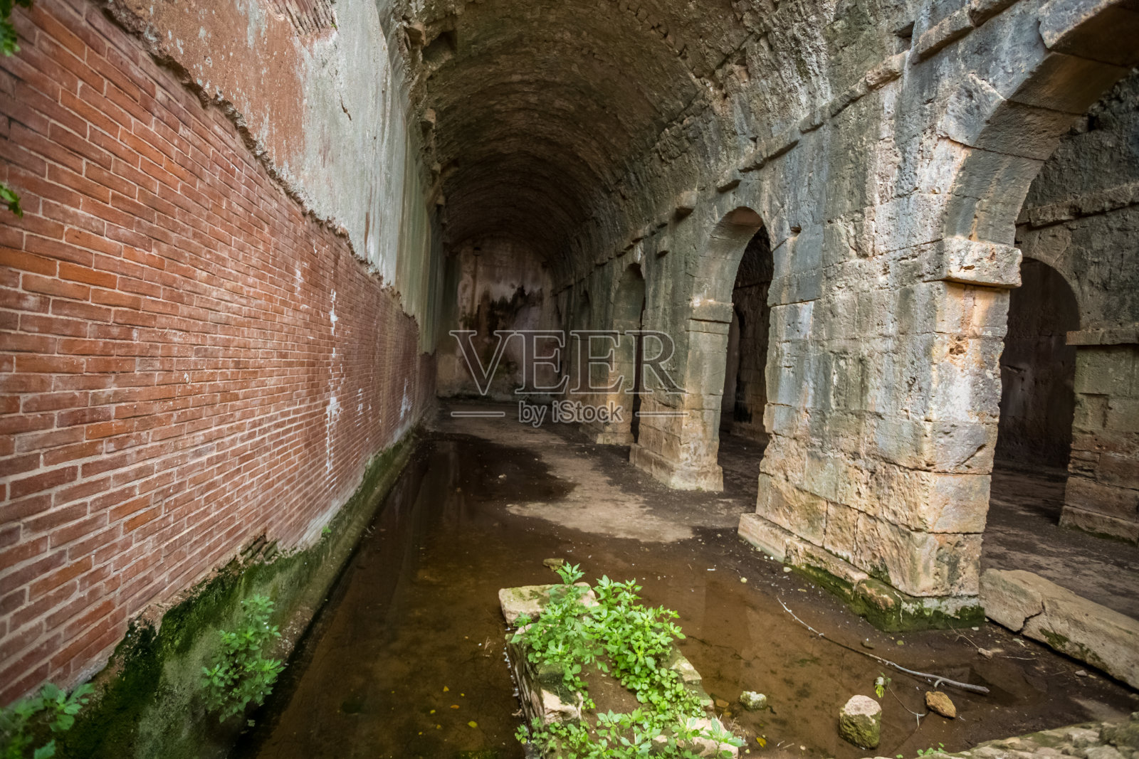 飞蛾在克里特岛蓄水池照片摄影图片