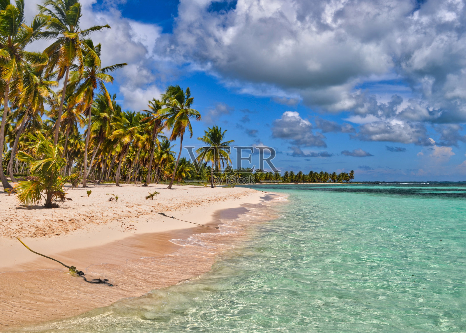 阳光沙滩saona岛照片摄影图片