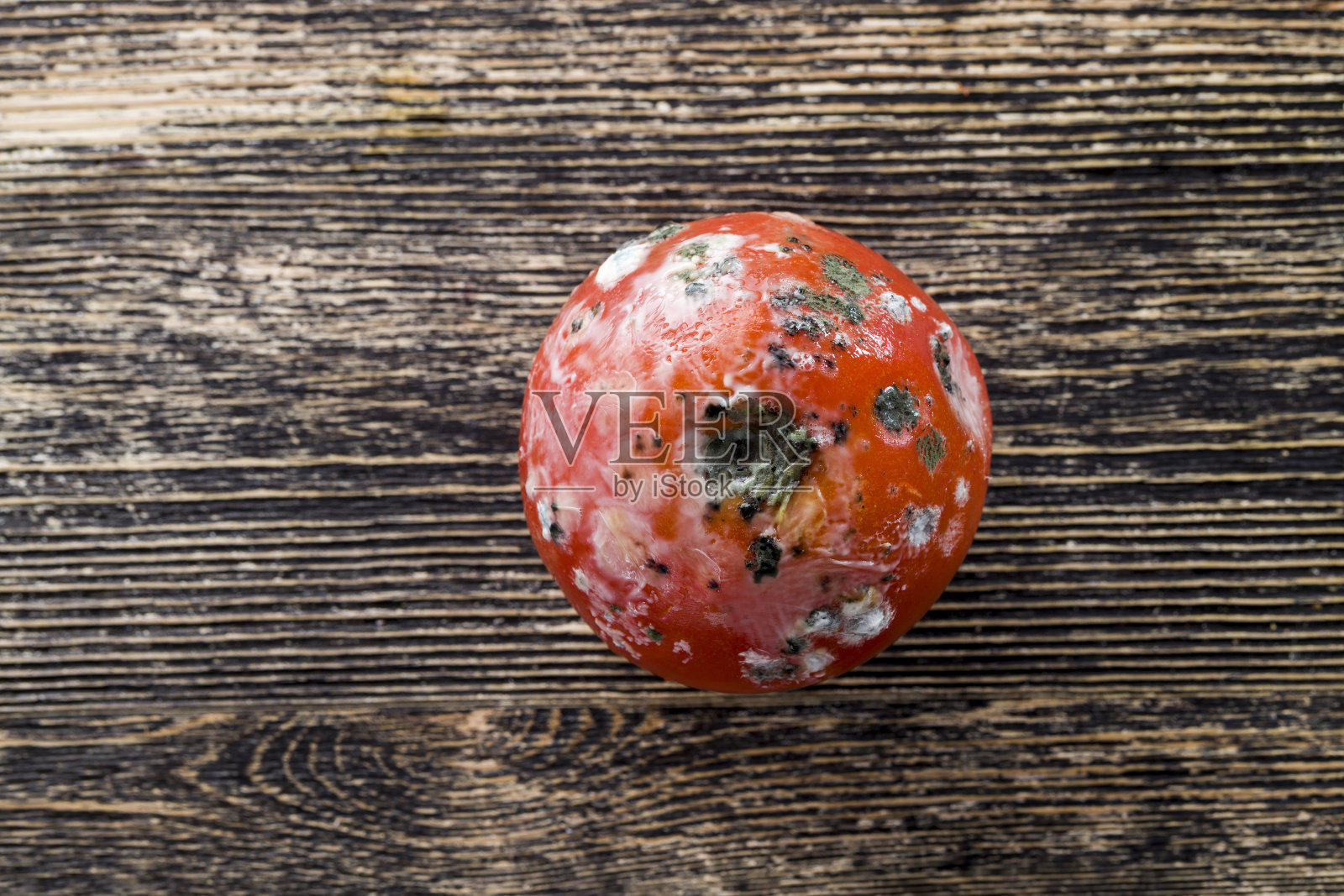 熟透的红番茄长满了霉照片摄影图片