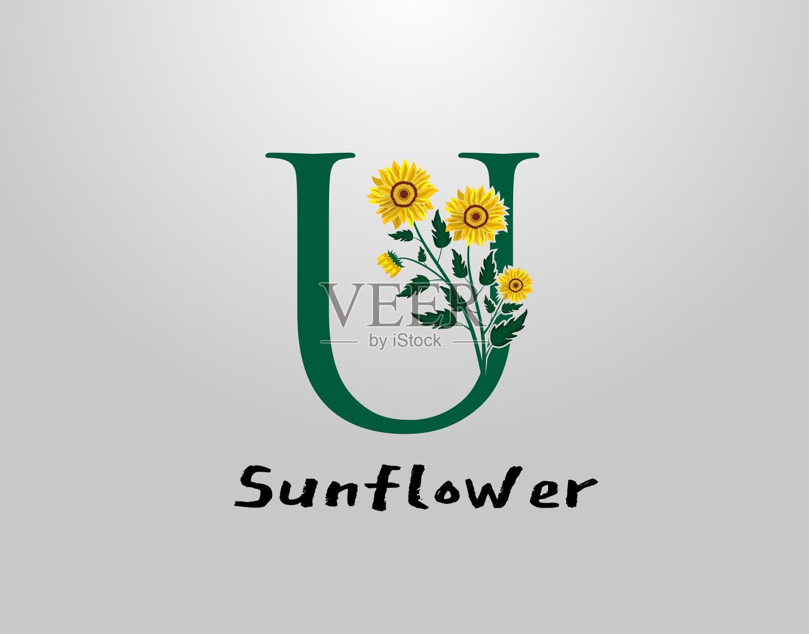 向日葵植物U标志图标。设计元素图片