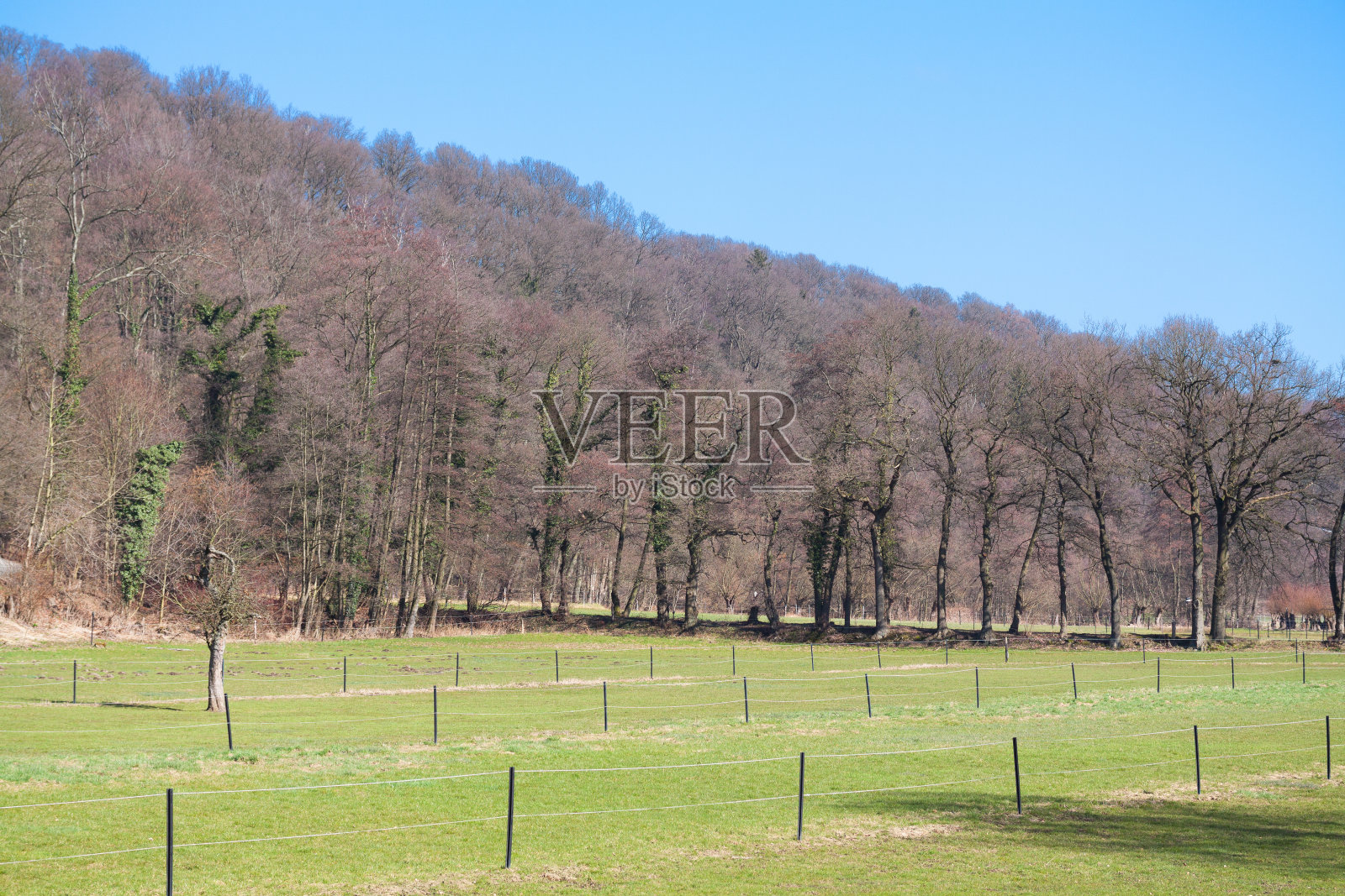 埃森南部的鲁尔山谷照片摄影图片