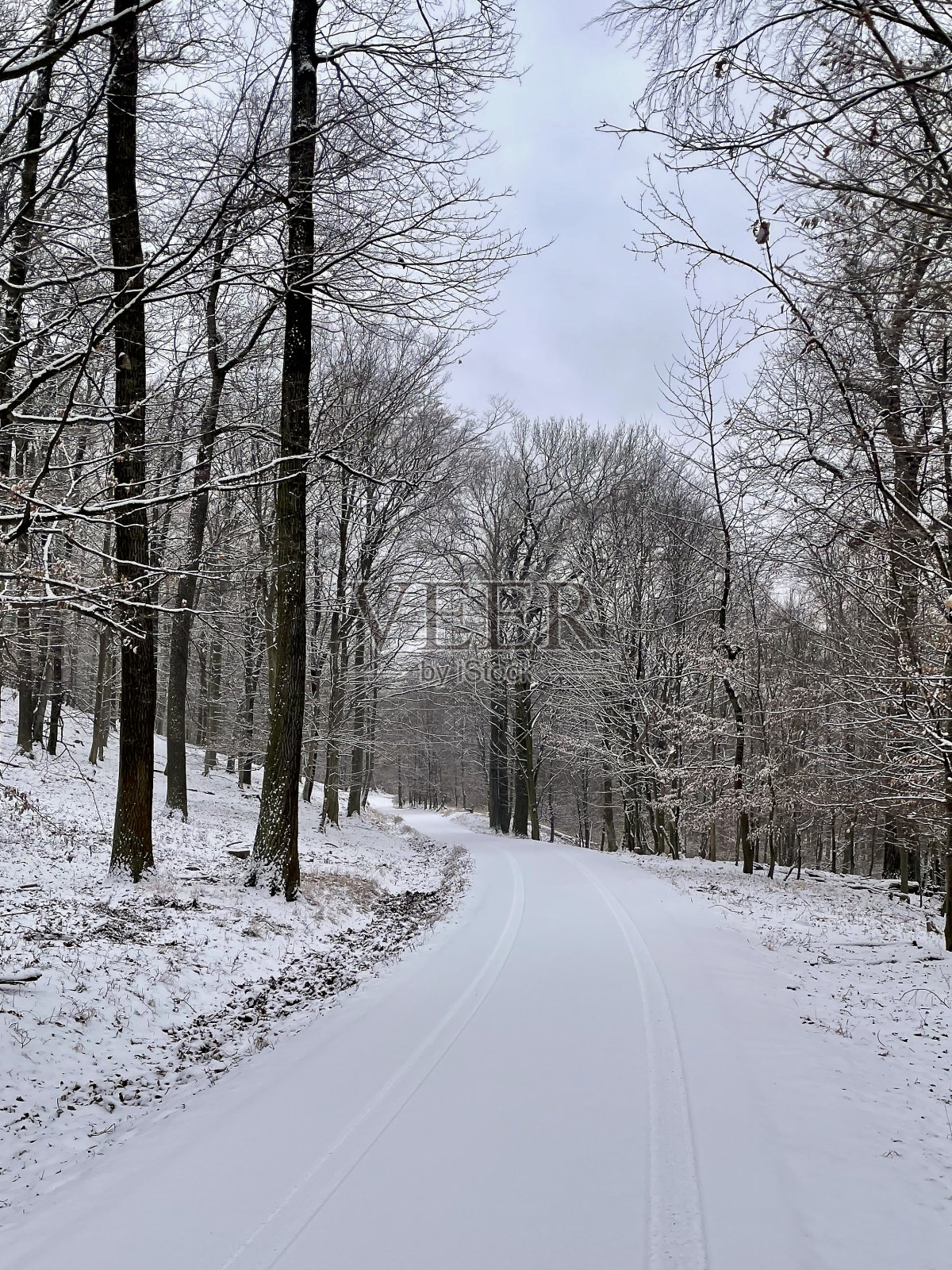 冬天在维也纳照片摄影图片