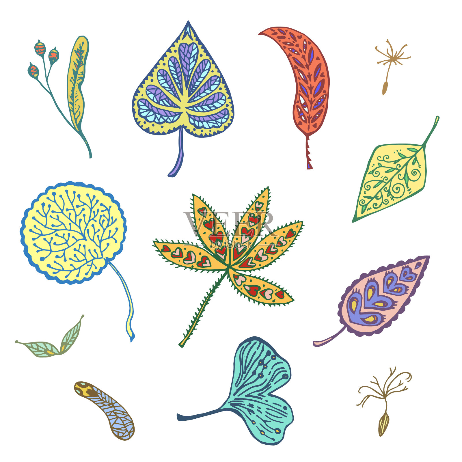 秋季集观赏叶和种子手插画图片素材