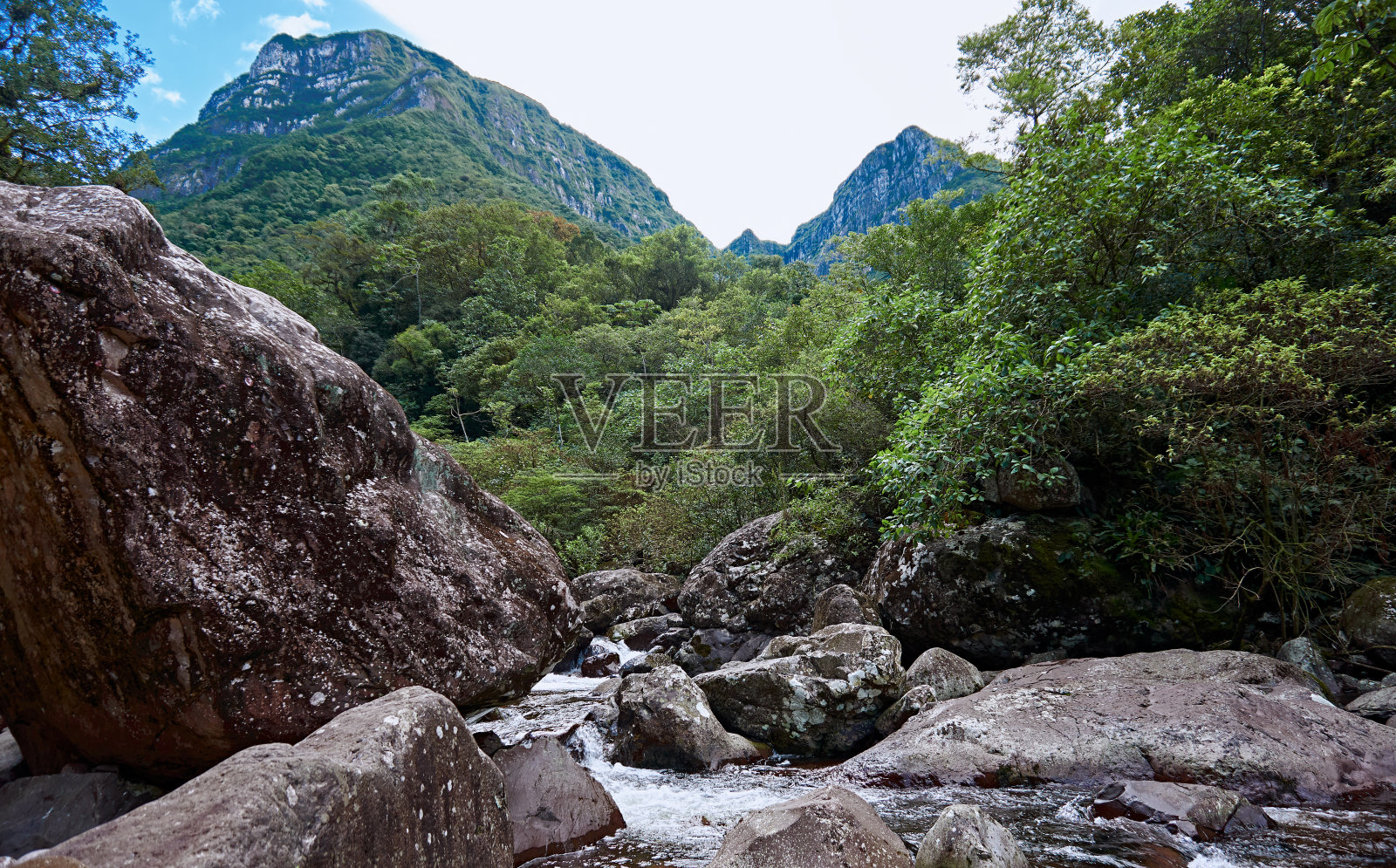 森林中的岩石照片摄影图片