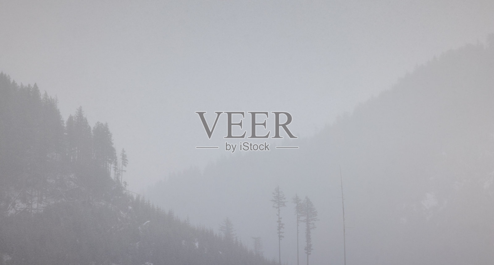 下雪时山上的森林照片摄影图片