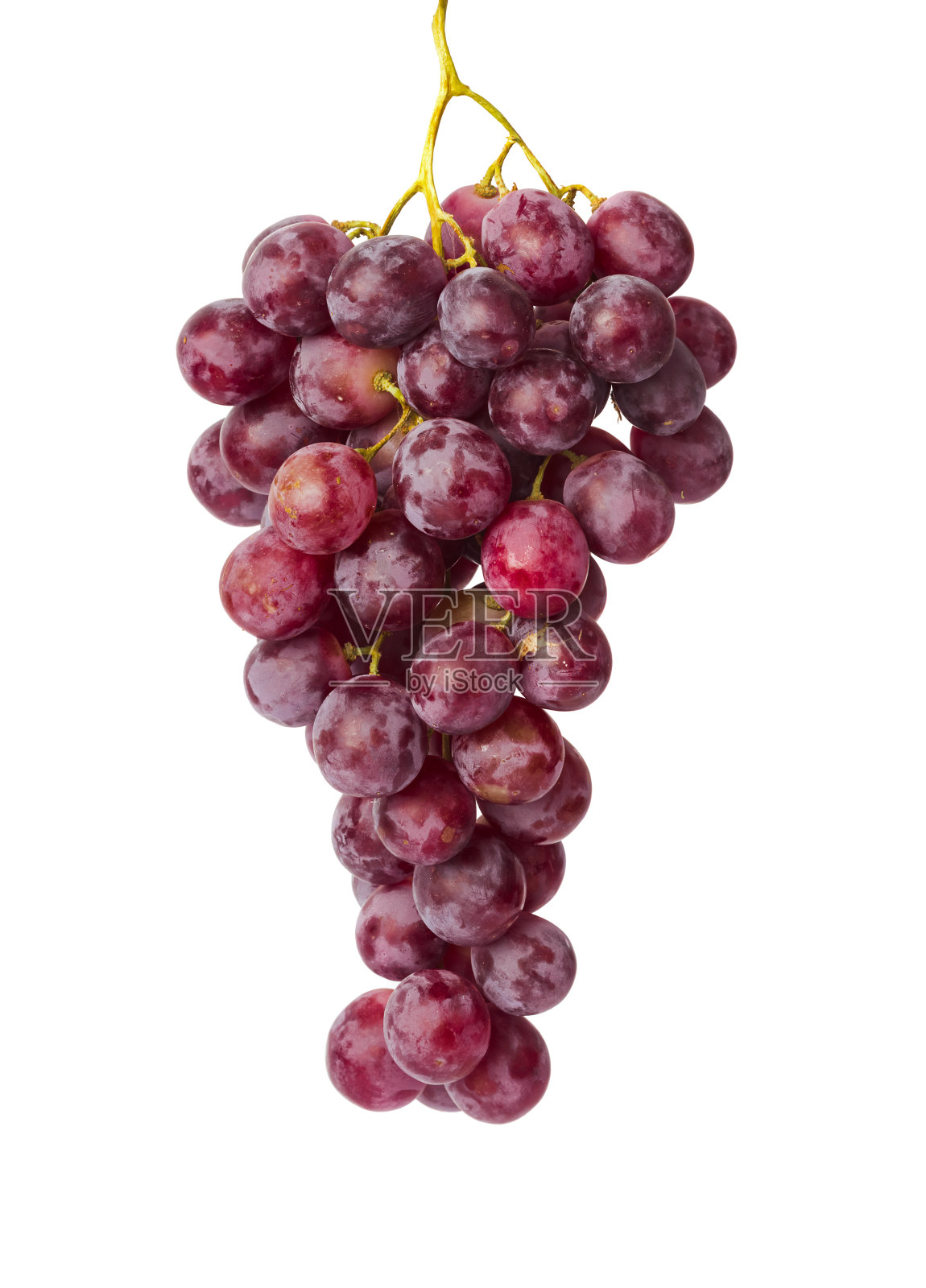 成熟的葡萄照片摄影图片