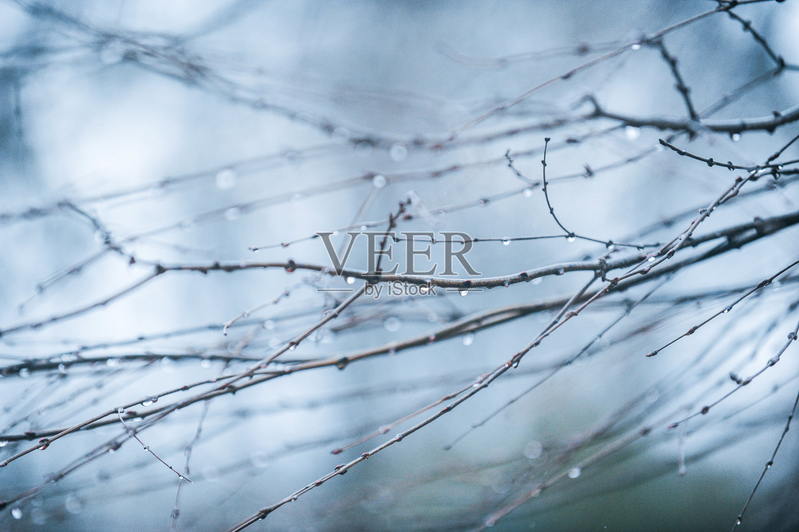 雨滴照片摄影图片