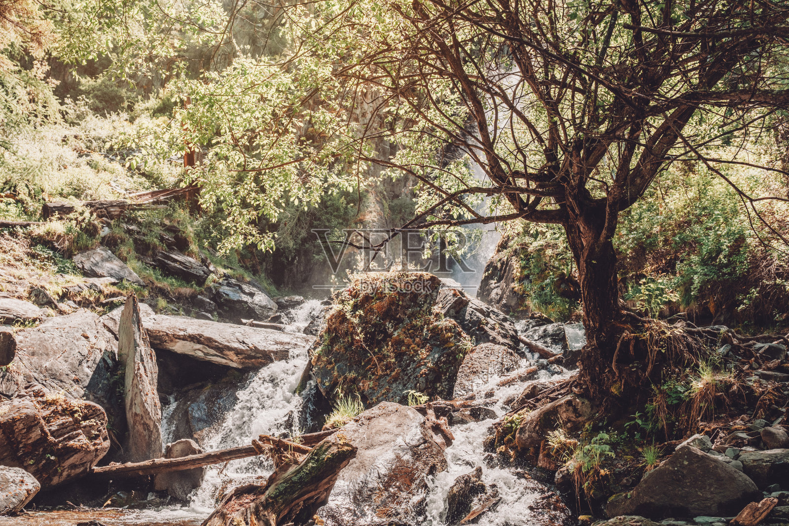 俄罗斯阿尔泰的瀑布照片摄影图片