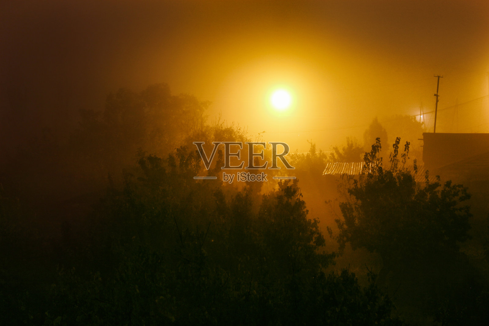 朦胧城市的夜景,树木的剪影和城市的灯光照片摄影图片
