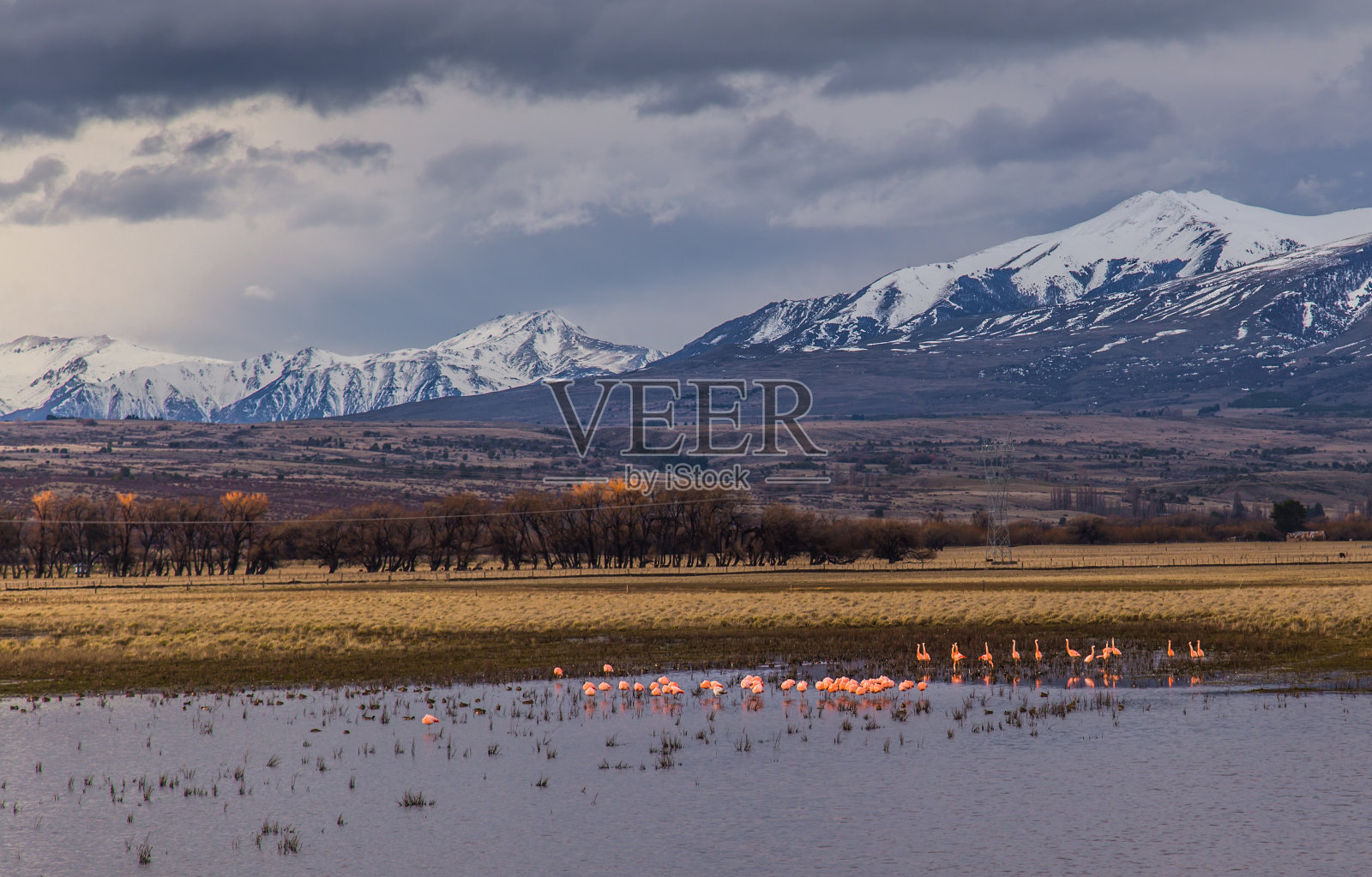 阿根廷-巴塔哥尼亚-火地岛照片摄影图片