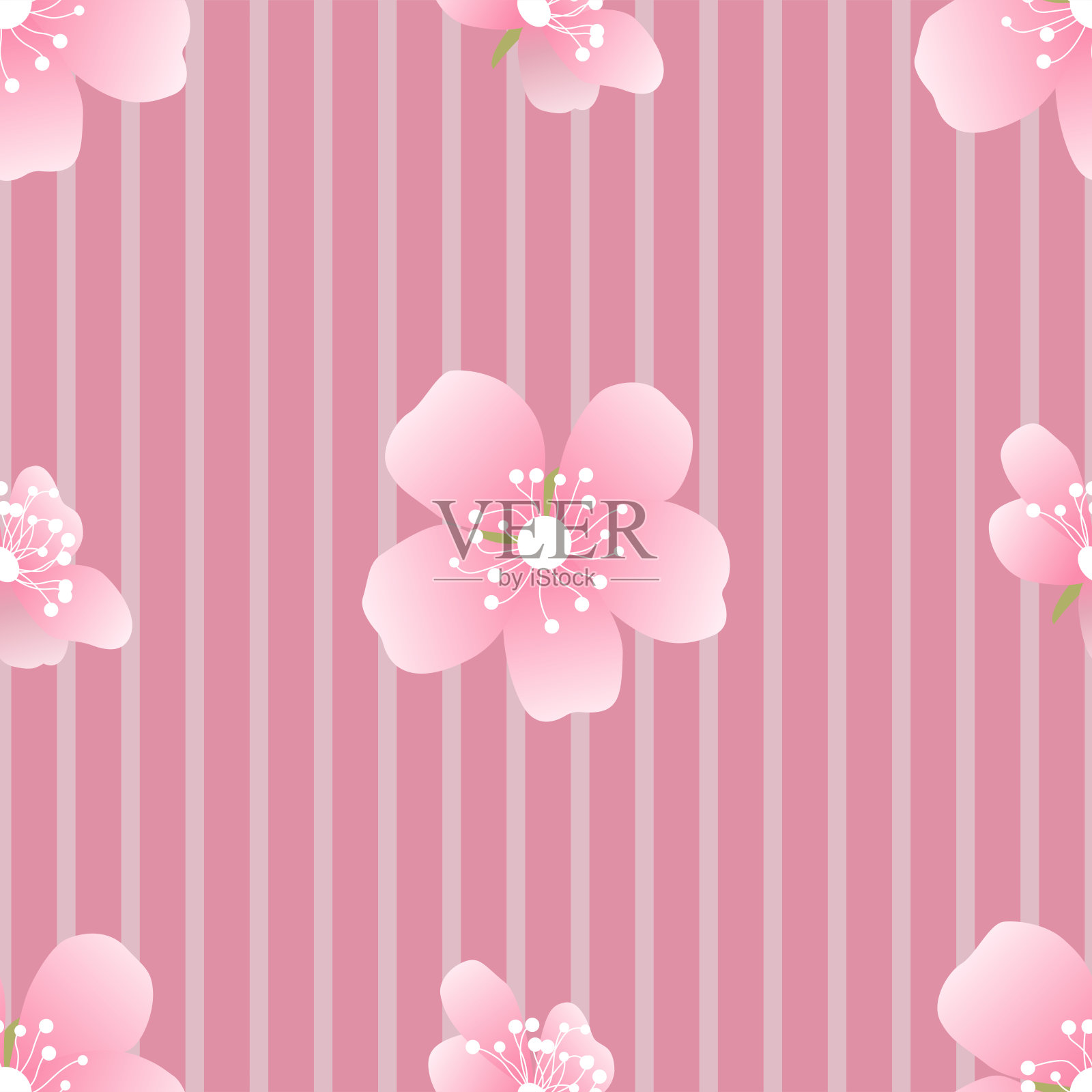 无缝条纹背景与樱花插画图片素材