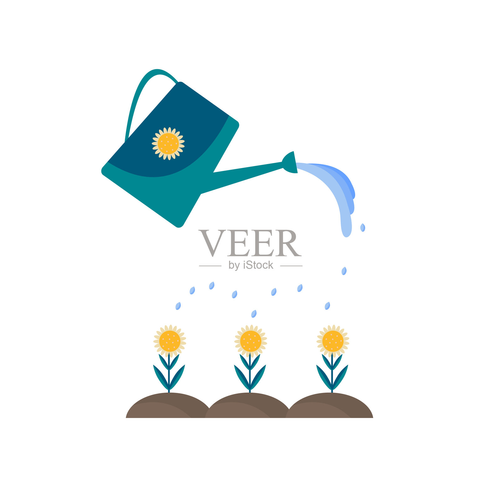 黄花长在地上。水从一个绿色喷壶里倒出来。照料植物、浇花或发展园艺的概念。矢量图像。平的风格。插画图片素材