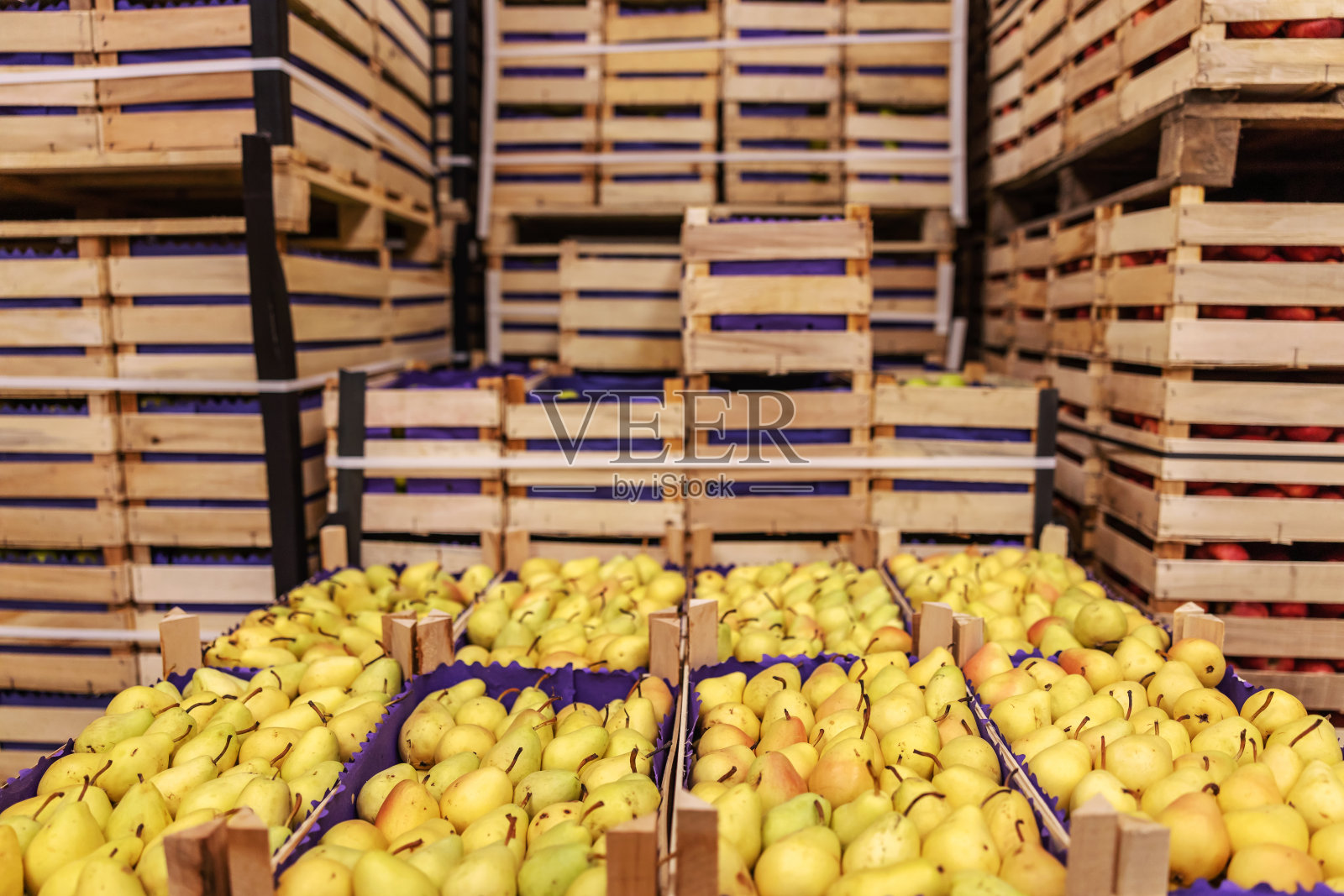 装在板条箱里的水果准备运输。冷藏室内。照片摄影图片