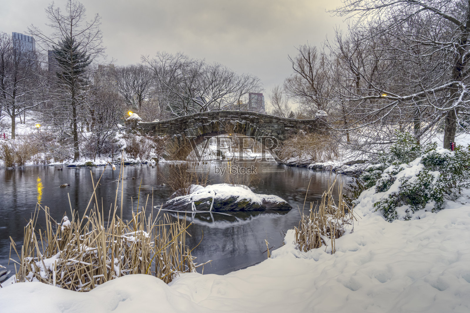 中央公园的盖普斯托桥照片摄影图片