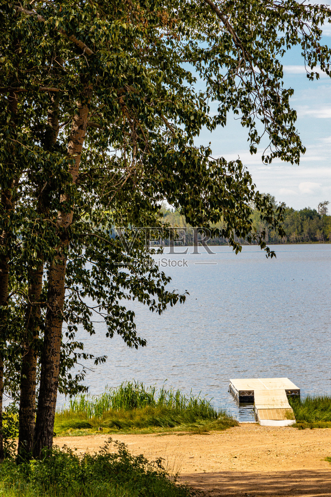 穿过树林的基弗湖。加拿大阿尔伯塔省尼希尔县照片摄影图片