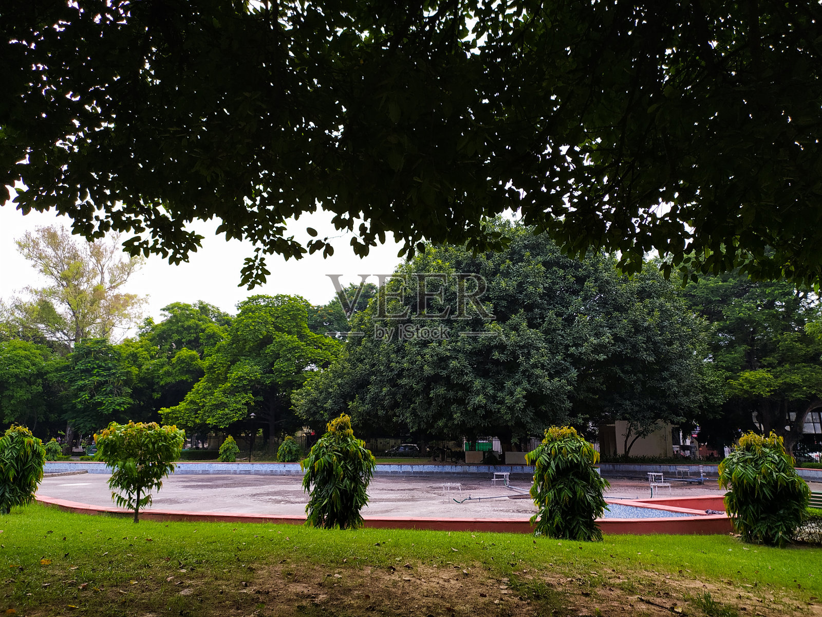 美丽的郁郁葱葱的树木公园在勒克瑙北方邦照片摄影图片