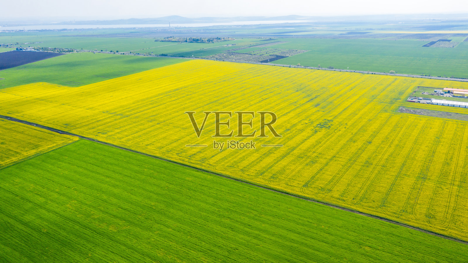 夏季田野的鸟瞰图。从上面看,黄色的田野。ca照片照片摄影图片