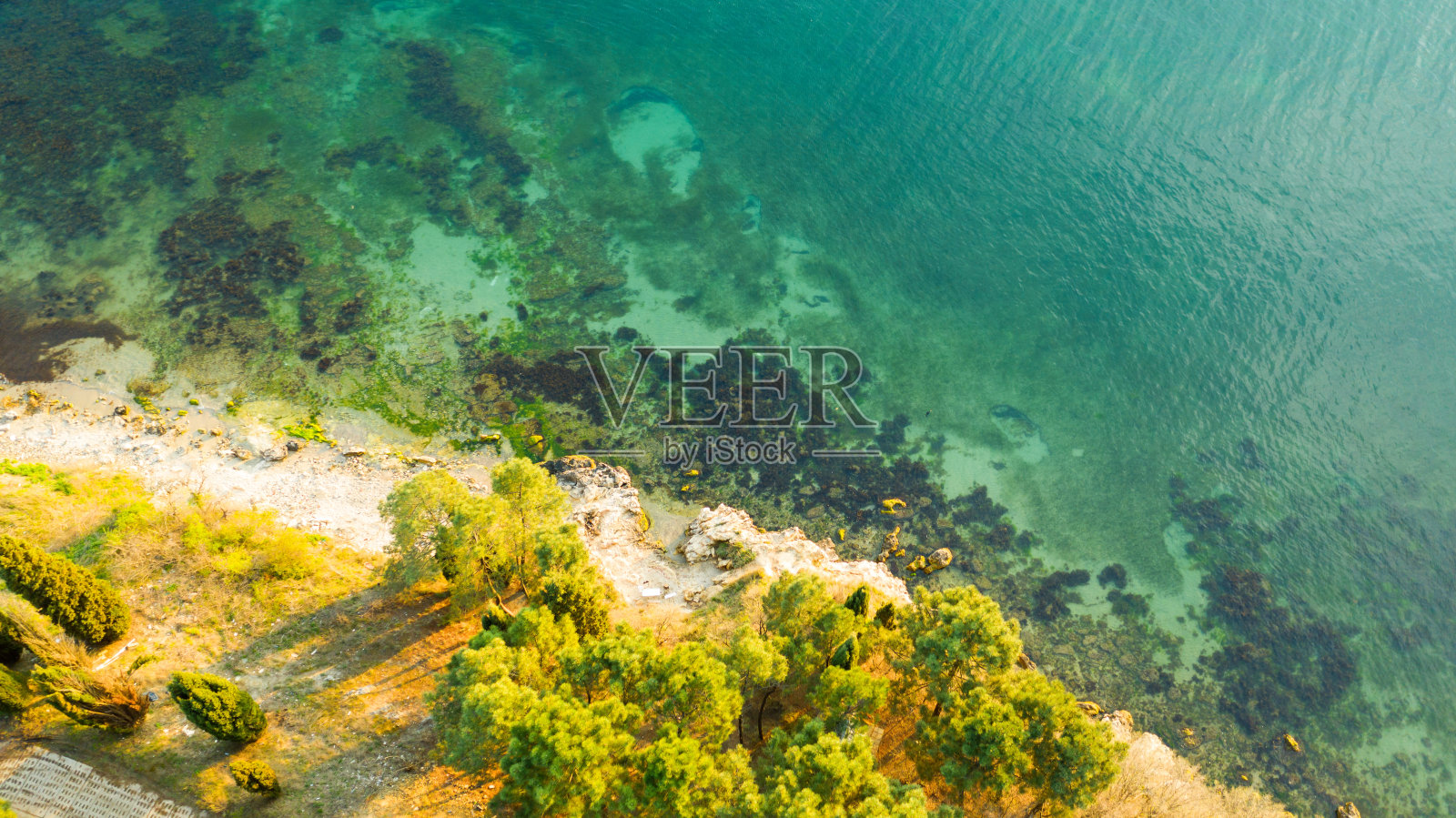 从空中俯瞰海滩。照片摄影图片