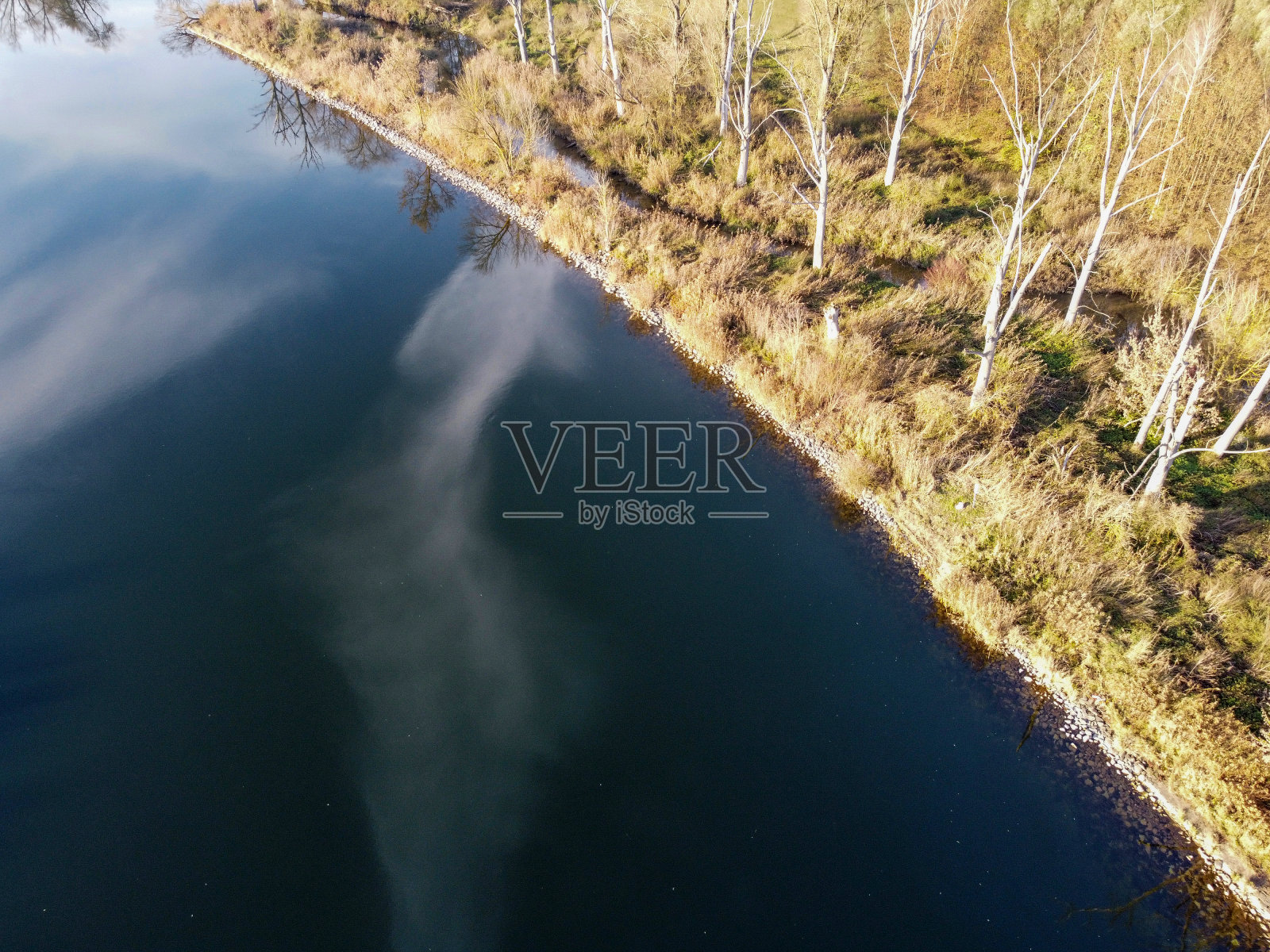 白天在巴伐利亚的巴伐利亚森林拍摄风景照片摄影图片