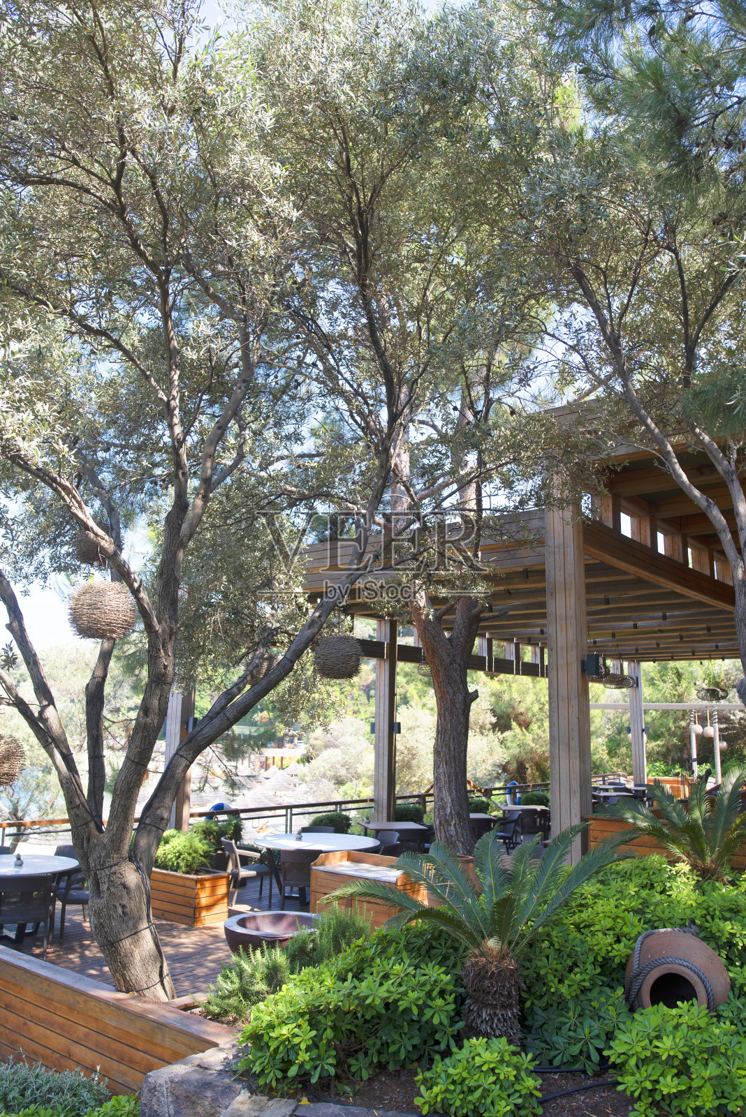 海滩边的户外家具照片摄影图片