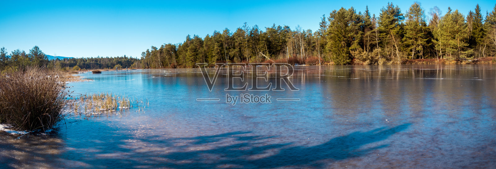 巴伐利亚州的沼泽湖照片摄影图片