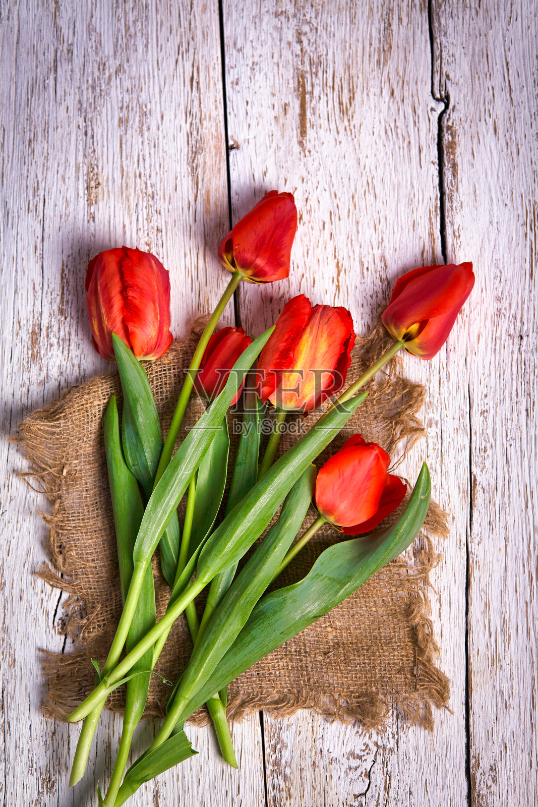 红色郁金香花束在白色木质桌子背景与复制空间照片摄影图片