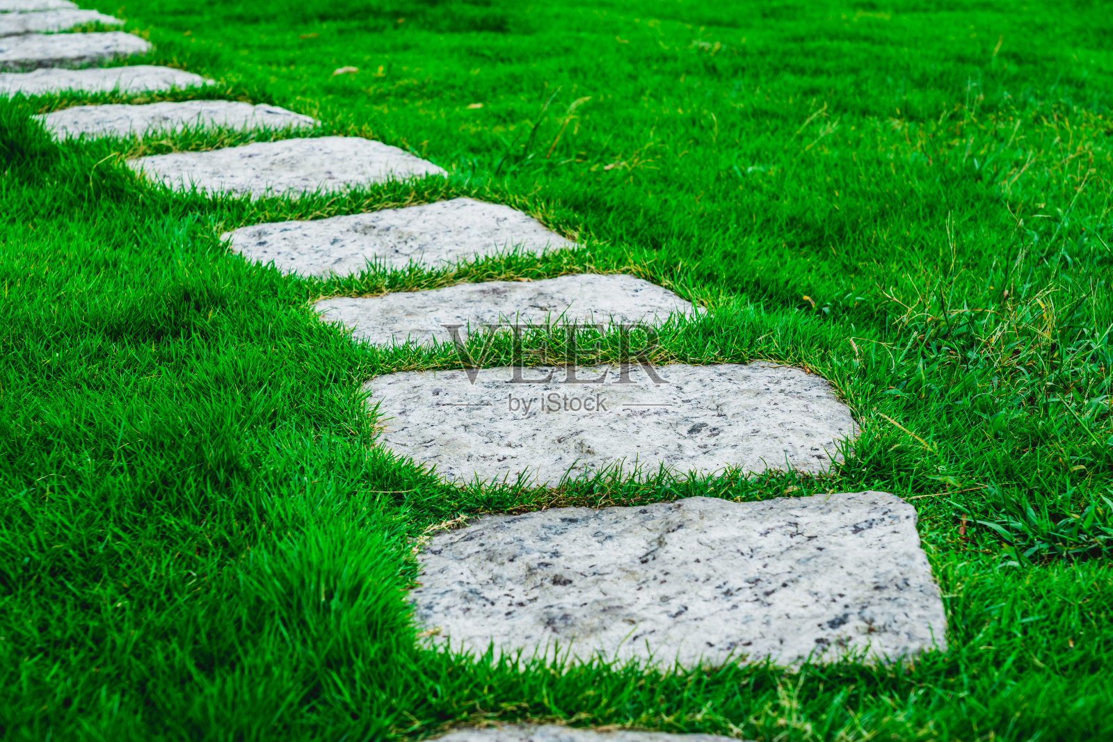 花园里的石头小径照片摄影图片