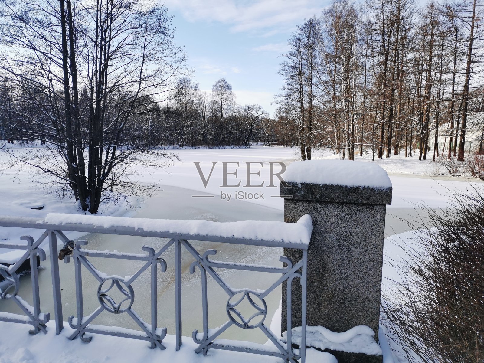 圣彼得堡的埃拉金公园。白雪覆盖的桥和树在蓝天和云彩的背景照片摄影图片